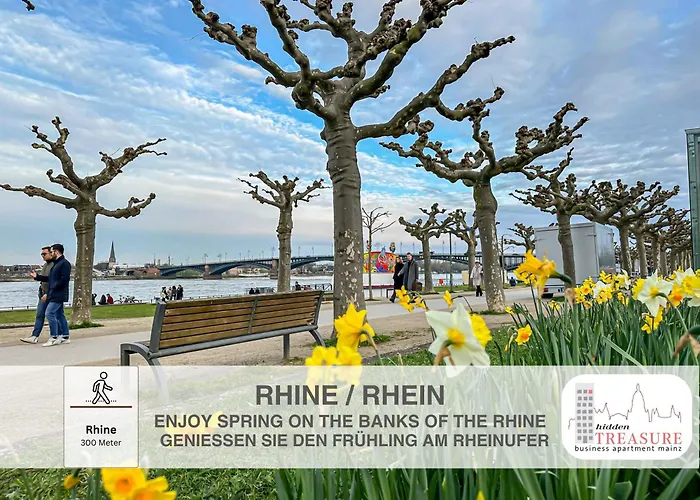 Hidden Treasure Business Apartment Mainz - Fantastic Rhine View In Center Of Mainz Old Town