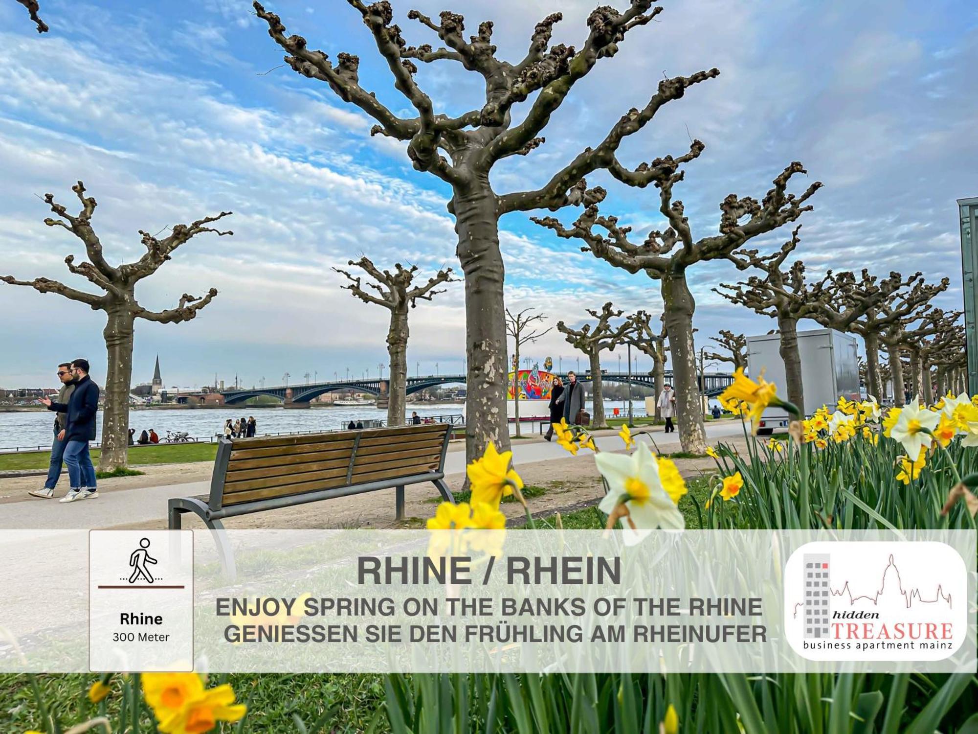 Hidden Treasure Business - Fantastic Rhine View In Center Of Old Town