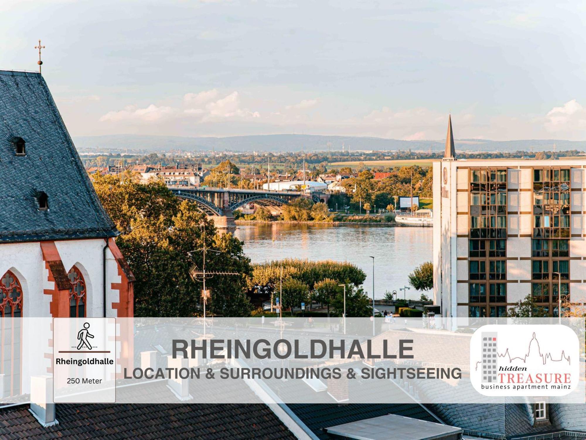 Apartment Hidden Treasure Business - Fantastic Rhine View In Center Of Old Town Mainz